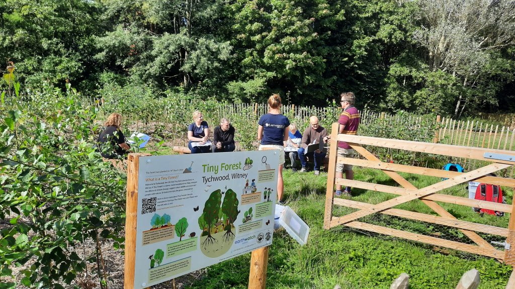 Data Collection day at Witney Tiny Forest Sep 2020