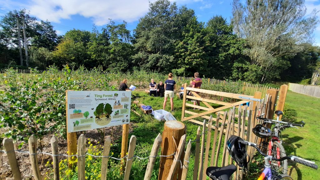 Data Collection day at Witney Tiny Forest Sep 2020