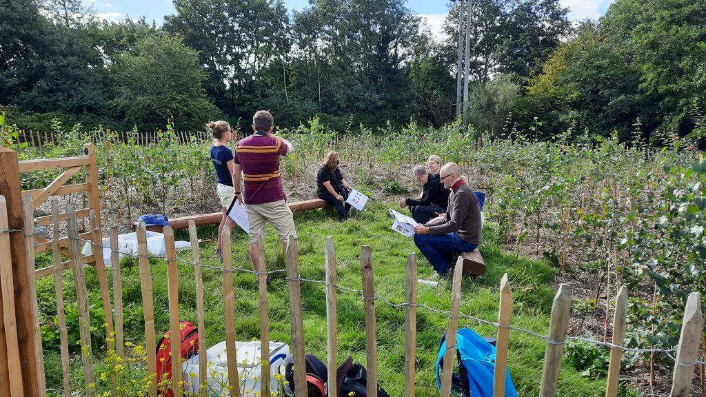 Data Collection day at Witney Tiny Forest Sep 2020