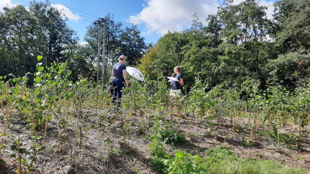 Data Collection day at Witney Tiny Forest Sep 2020