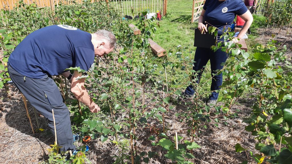 Data Collection day at Witney Tiny Forest Sep 2020