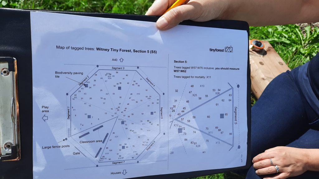 Data Collection day at Witney Tiny Forest Sep 2020