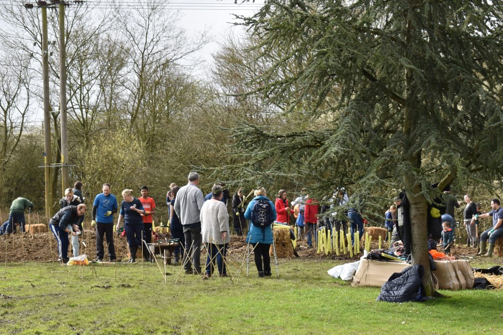 Witney Tiny Forest Planting Day March 2020