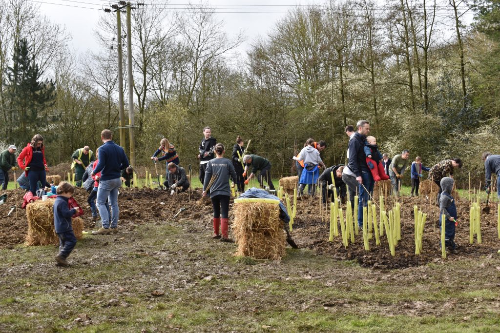 Witney Tiny Forest Planting Day March 2020