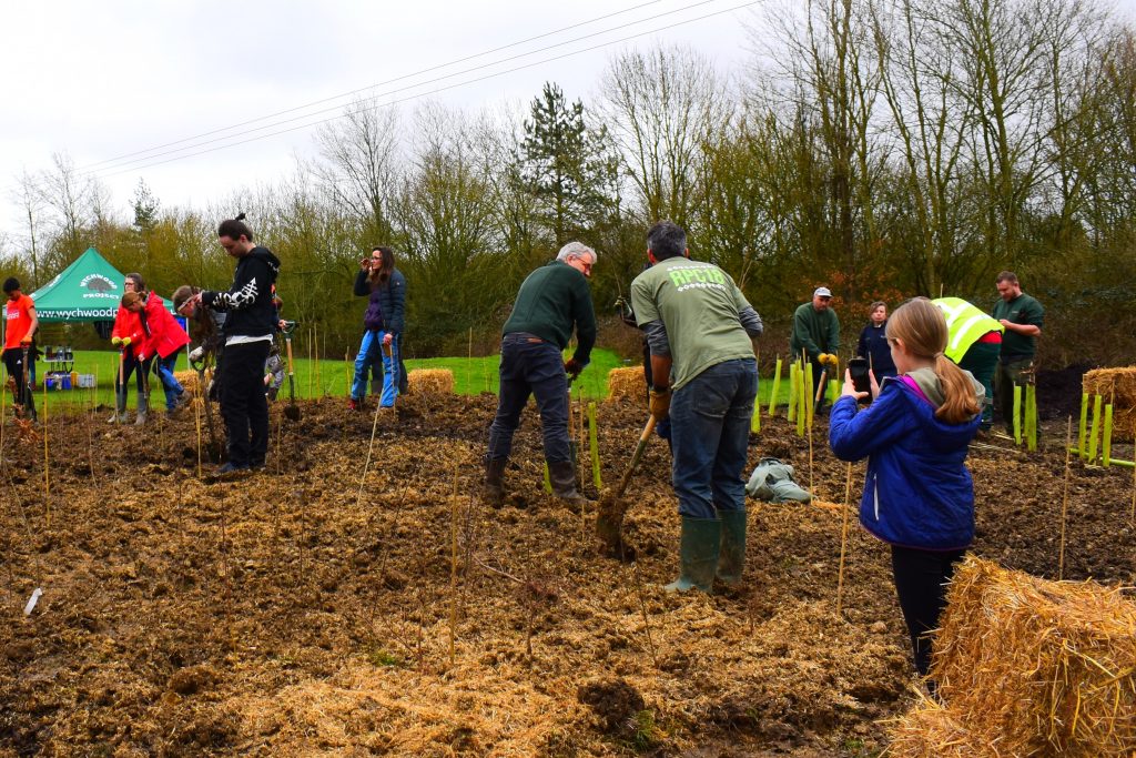 Witney Tiny Forest Planting Day March 2020