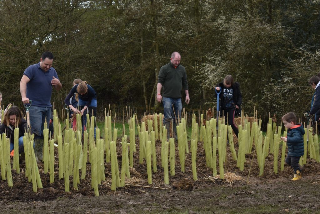 Witney Tiny Forest Planting Day March 2020