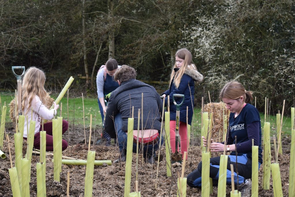 Witney Tiny Forest Planting Day March 2020