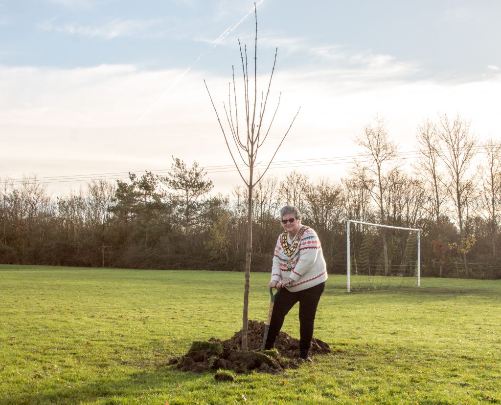 Mayor Joy Aitman planting a sycamore maple in Eton Close play area