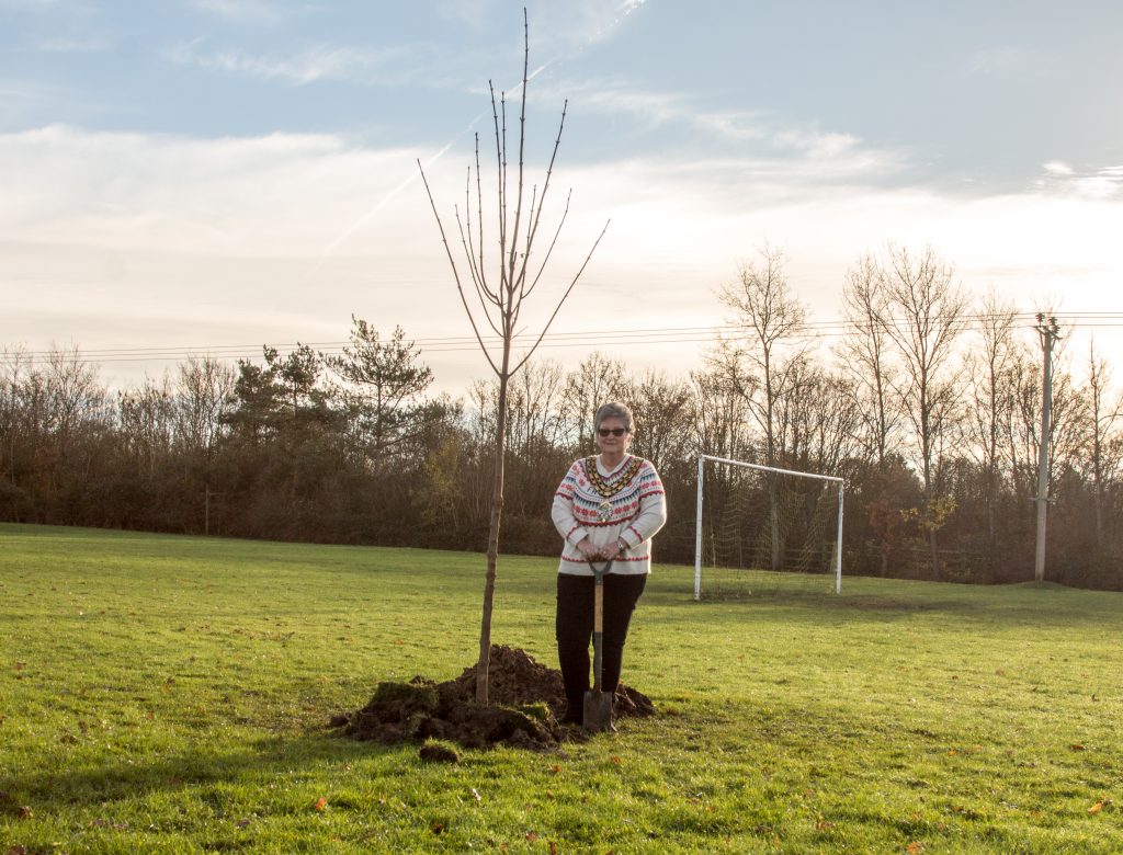 Mayor Joy Aitman planting a sycamore maple in Eton Close play area