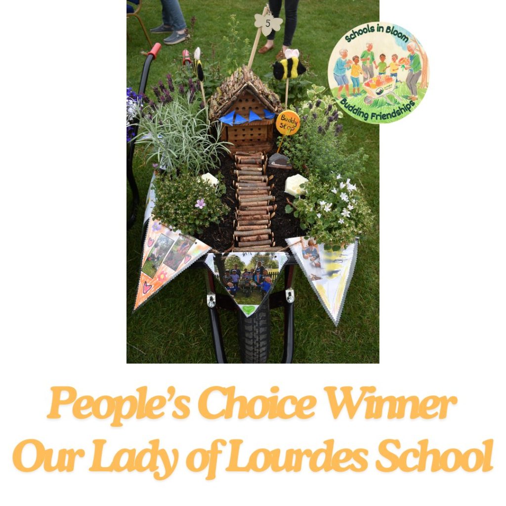 People's Choice Winner - Our Lady of Lourdes School