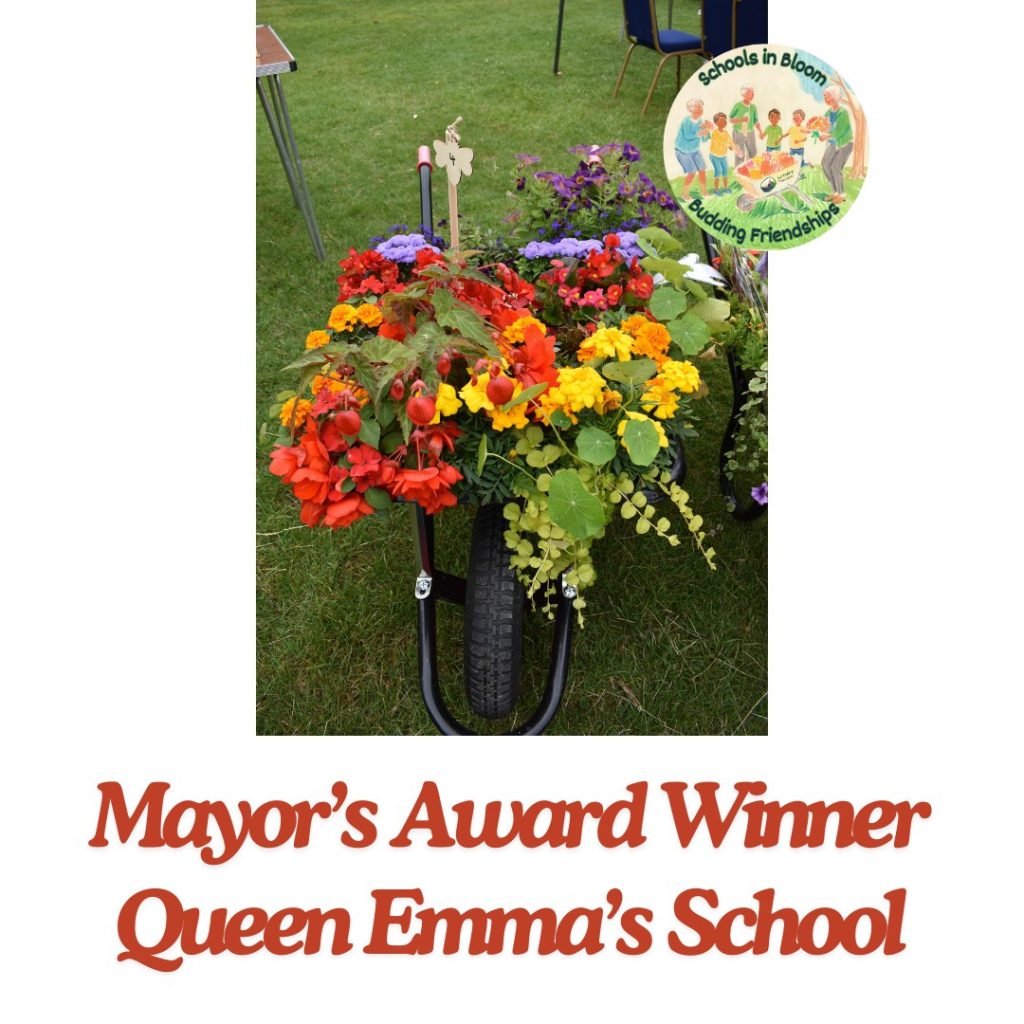 Mayor's Award Winner - Queen Emma's School