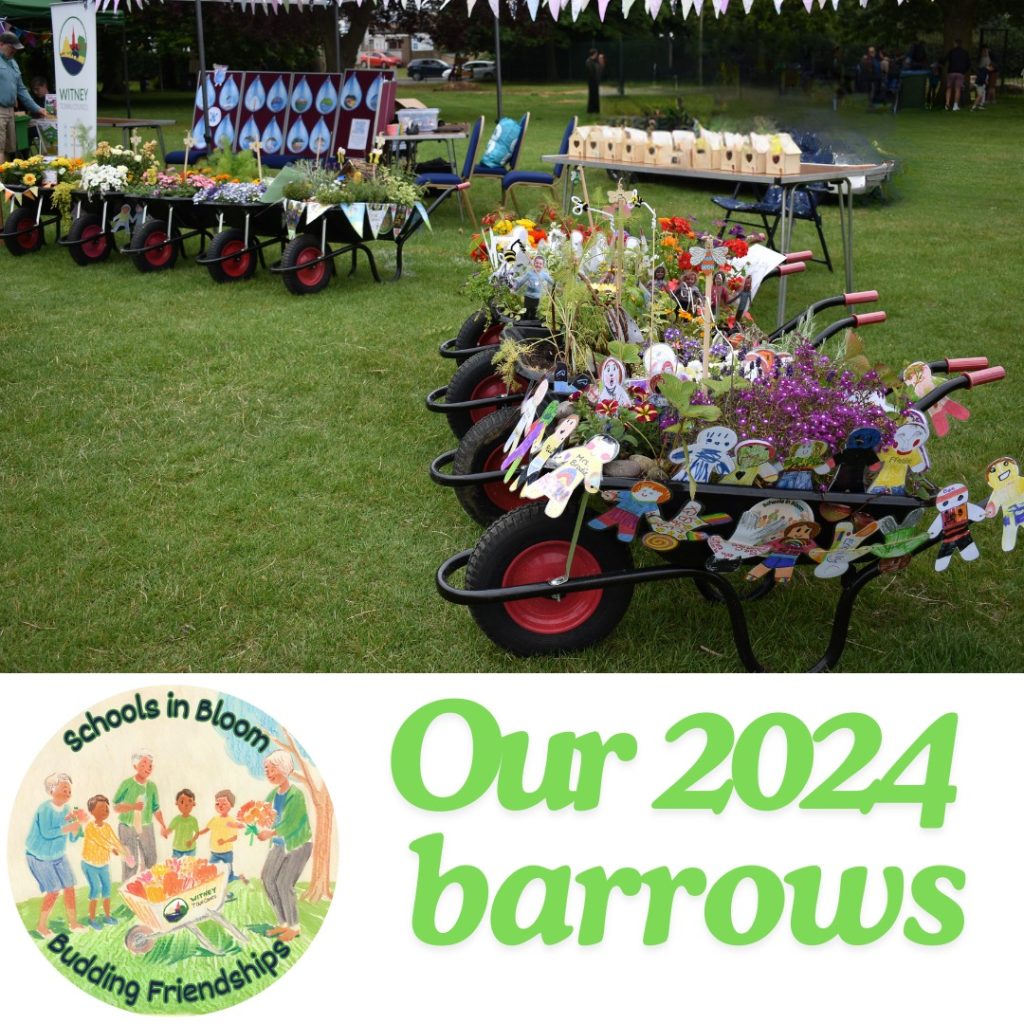 Our 2024 barrows